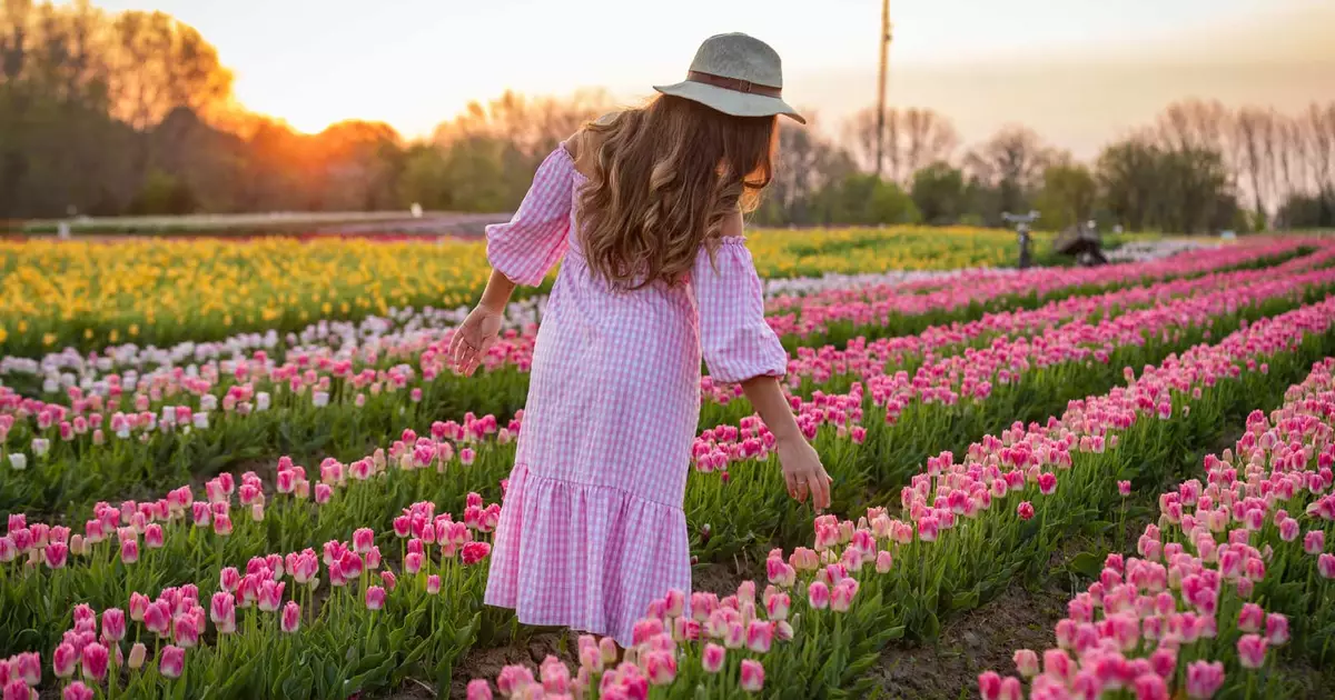 Falls and Flowers (Hamilton Falls & Tulip Picking)