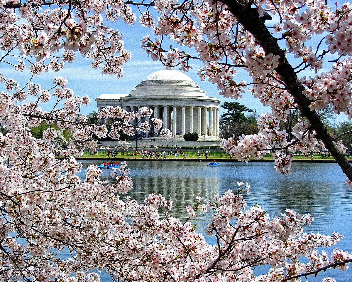 American Dream (New York City, Washington D.C., Philadelphia)