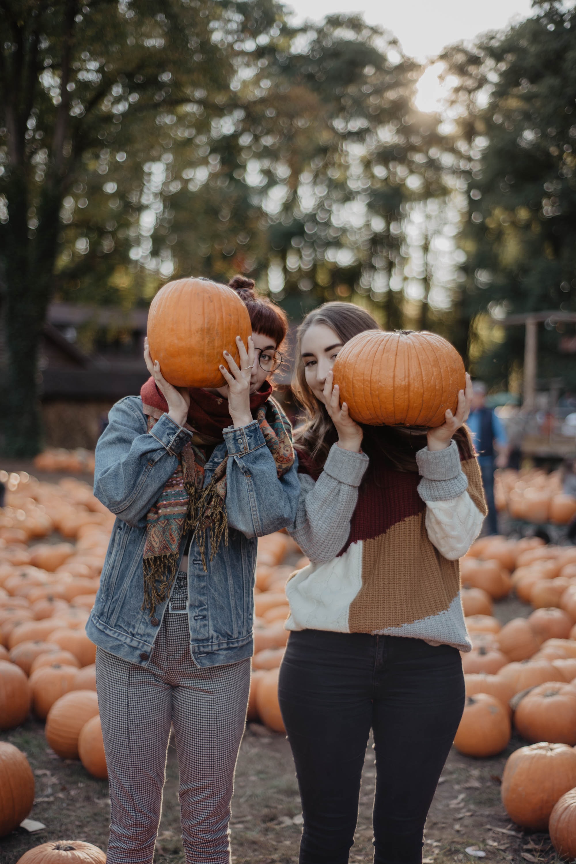 PRVT: ILAC Fun Fall Farm Day